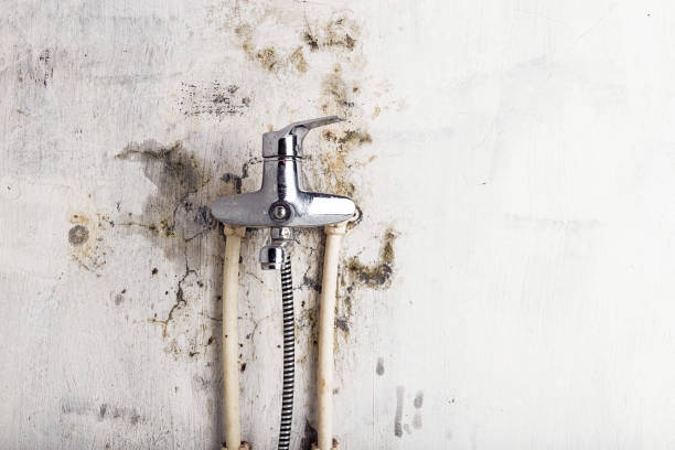 Home Mold Removal in Okanogan, WA