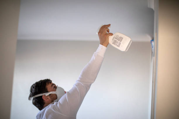 Best Residential Mold Removal  in Okanogan, WA
