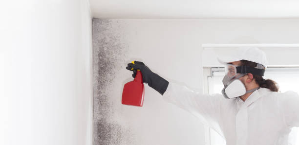 Crawl Space Mold Removal in Okanogan, WA