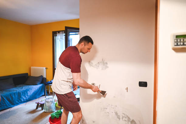 Best Certified Mold Removal  in Okanogan, WA